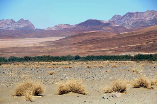 Das grüne Band des Oranje