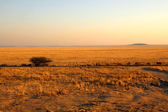 Unser Blick über die Ebene