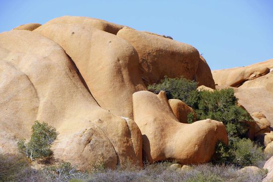 Ein Nilpferd aus Granit
