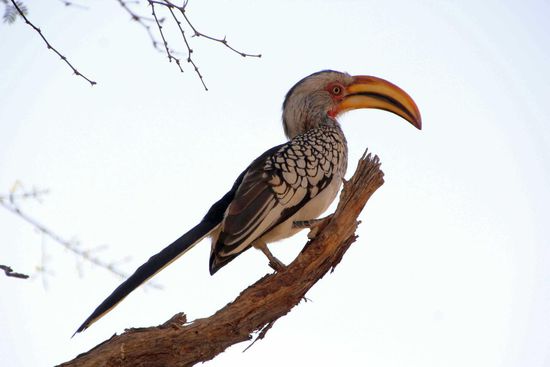 Besuch am Campingplatz