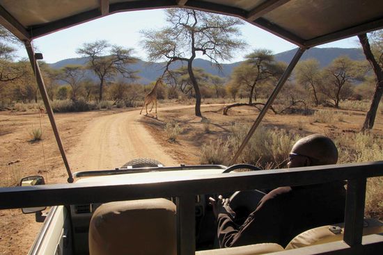 Im Safariwagen