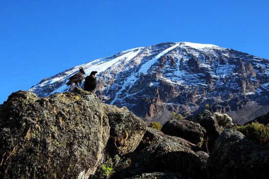 Blick zum Kibu am Morgen