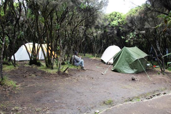 Im Mweka Camp