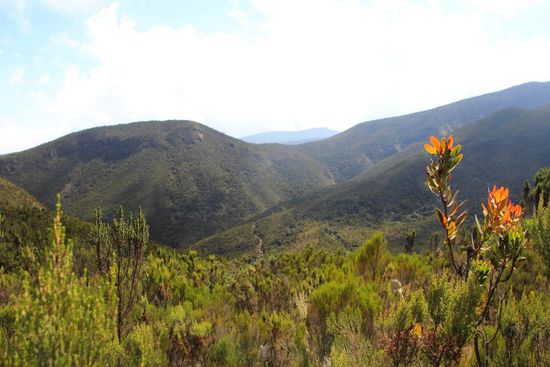 Der Weg zum Shira-Plateau