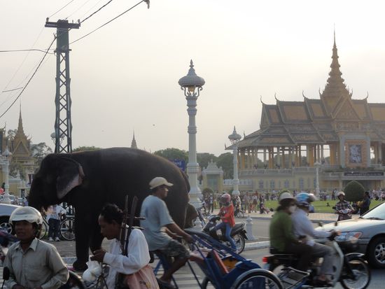 Phnom Penh: Palast, Verkehr, Elefanten
