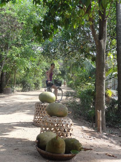 Nebst Pomelos werden hier auch Jackfruits angeboten. Teilweise sind die echt riesengross!