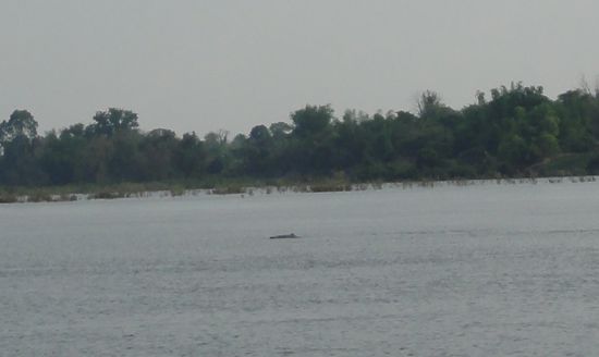 Ha erwischt! Wir haben alles gegeben mit abdruecken. Malou war definitiv erfolgreicher als Annina!