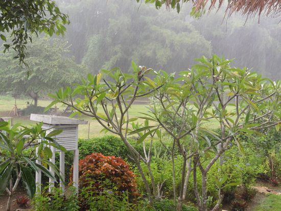 Die Aussicht ins Gruene vom Bungalow aus. Hier hats mal wieder so richtig geschifft! Ja ja die Regenzeit laesst nicht auf sich warten. Momentan gibts schon fast taeglich einen ziemlichen Gutsch.