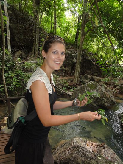 ...und ihr gesundes Futter