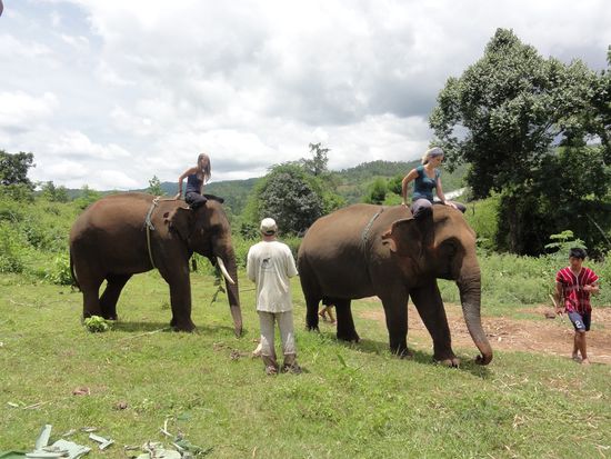 Erste Reitversuche noch auf dem sicheren Campgelände.