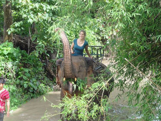 An keiner Bambusstaude kamen wir ohne Essenshalt vorbei...