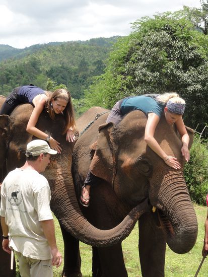 Achtung ducken! Man bedenke, dass wir auf dem Elefanten schon auf Asthöhe der Bäume reiten