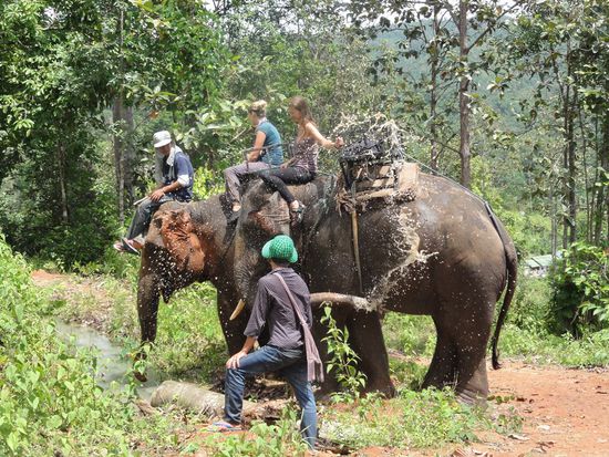 Abkühlung tut gut. Den Elefanten und uns 
