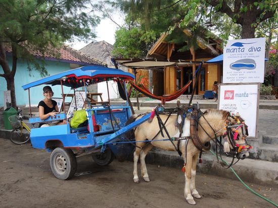 Auf einem "Cidomo" gings dann wesentlich schneller und einfacher...