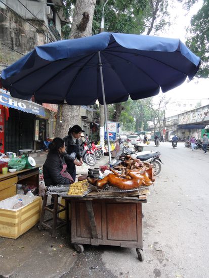 Eben kein Spanferkel sondern ein Hund!