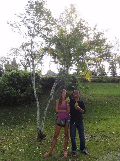 Da rüttelt Putu, unser Driver, an dem kleinen Bäumchen und runter fallen zwei Karamboles (Sternfrüchte)