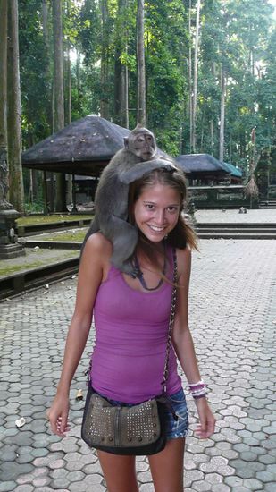 Im Affenwald von Sagneh