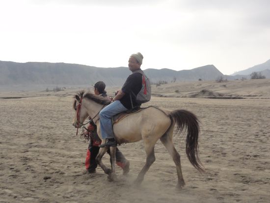 Jerry, der Inder nahm das Pferd 