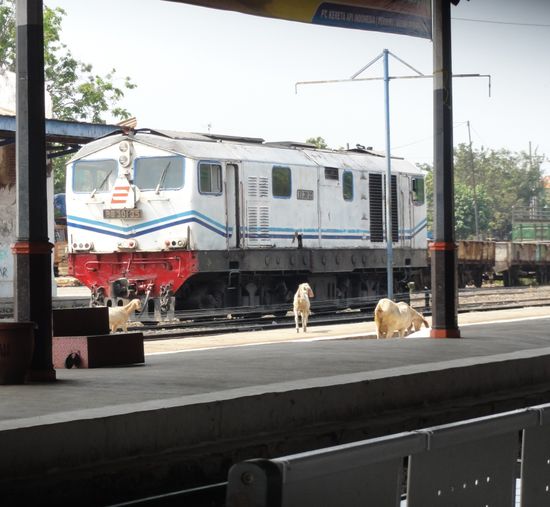 Der Bahnhof in Probolinggo