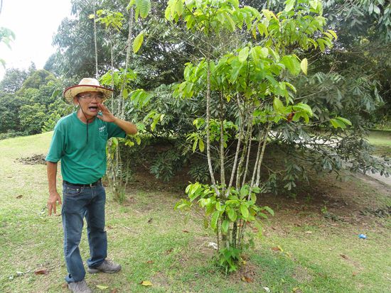 Der charmante Guide auf der Fruitfarm