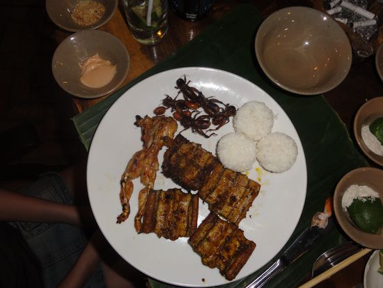 Forest Menue - Frosch, Grillen und Aal