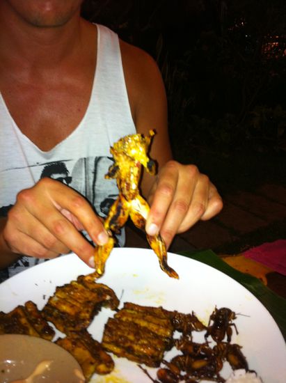 Sexy Body - der Frosch...