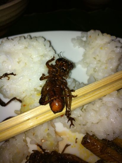 Knackiger Hintern mit Erdnuessli...