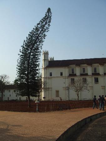 Die groesste Kirche in der ehemaligen Hauptstadt Old Goa. Anscheinend haben die Christen nicht nur die Hindus verbogen, sondern auch die Baeume.