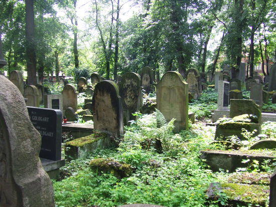 Juedischer Friedhof in Krakau mit interessanten Variationen eingepolnischter Namen wie Rosenzweigowa / Nowy Cmentarz Zydowski na Kazimierzu