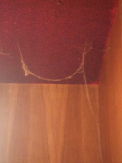 Impressionen aus dem Intourist Hotel von 1959 / Zakamarki Hotelu Intourist w Gori