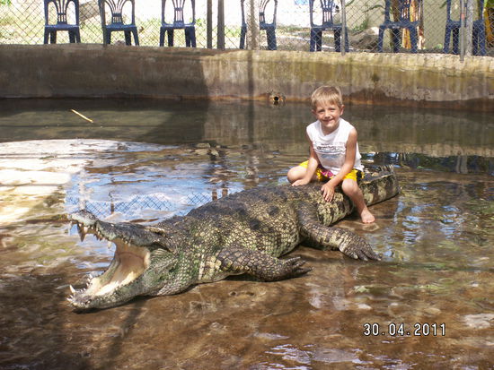....und gebändigt. Mo strotzte vor Mut. Papa musste zwar nochmal mit, aber Mo danach:"Das müssen wir unbedingt aufschreiben, daß ich auf einem Krokodil gesessen bin"
