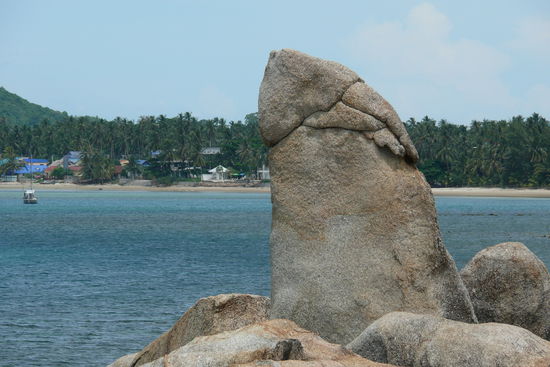 Den "Großvater" können wir euch natürlich nicht vorenthalten !