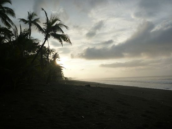 Morgenstimmung im Corcovado Nationalpark