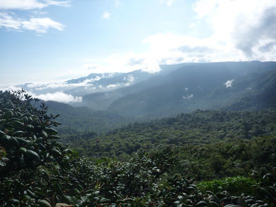 Aussichtspunkt vom Nebelwald in Monteverde