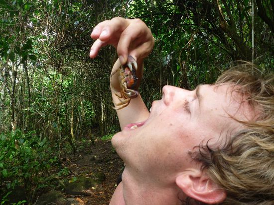 zum "Zvieri" was frisches, knackiges...