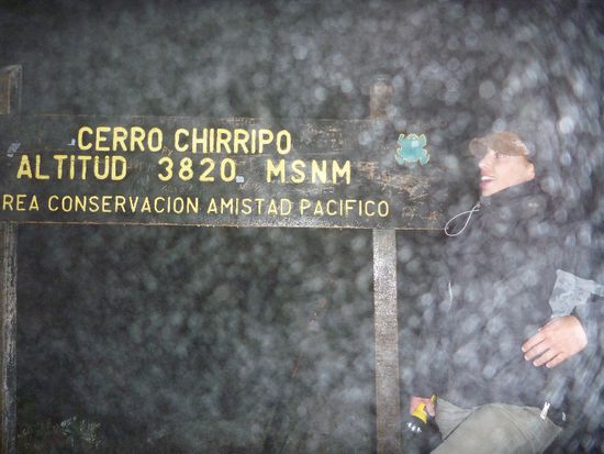 Ein paar Details zu diesem Trek (Cerro Chirippo/ höchster Gipfel von Costa Rica):
Start 05.00am: 1520müM
Uebernachtung: 3400müM
Gipfelbesteigung
Start 03.00am
Ankunft 05.00am: 3800müM (leider nur Nebel anstatt Sonnenaufgang)
Trekende im Thal 14.00pm: 1350müM
nid schlecht hä?? 