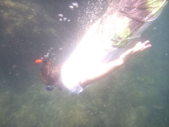 auf Tauchgang, da staunen sogar die Fische