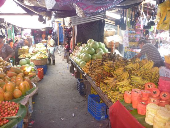 ein Paradies für Freunde der Melonen und Bananen 