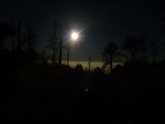 Vollmond und Nebelmeer. Dieses Bild durfte ich dank akuten Magenstörungen mehrmals geniessen...