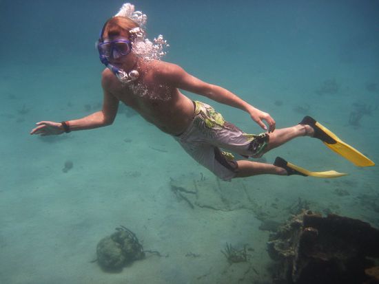 schon bald wachsen uns Kiemen durch das viele Schnorcheln...