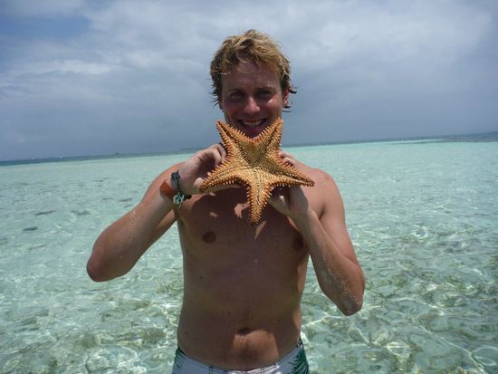 vo dene Cheibe wimmlets do nume so...