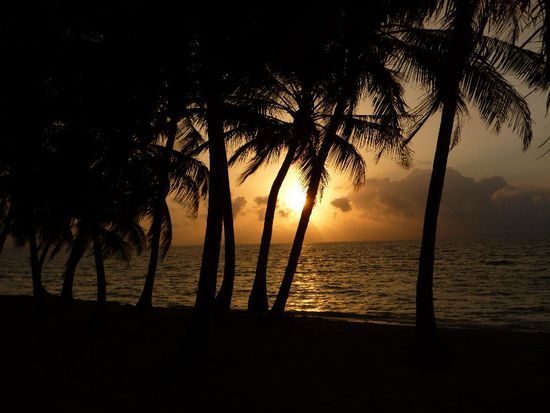 uese Hus-Sunneungergang...