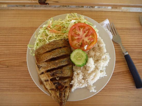 Dieses Menu durften wir 14-mal in Folge geniessen. Am Abend wurde das Reis jeweils noch durch Patacones (fritierte Bananen, aehnlich wie Pommes Frites nur ohne Geschmack ausgetauscht.