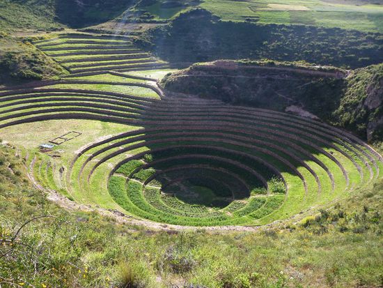 Maras Moray:
Dr Gaertner het meistens e sturme Gring nachem Maeihe... 
