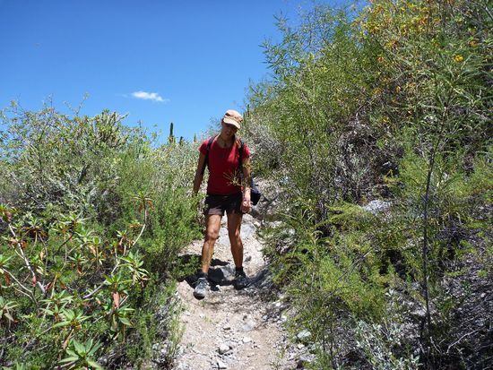 Im Bild darunter seht ihr warum ich so eine Fraze ziehe: