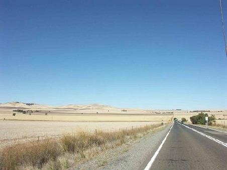 Das isch in Victoria. Wirde nid ganz schlau us dene Aussis; de hei si so fueu Weize und choei nidemou es richtigs Brot bache...tztztztzt Sones Nicktonbroetli oder es herrlichs Solothurnerbrot waer haut maengisch scho nid schlaecht!