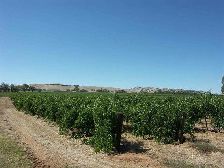 Barossa Valley