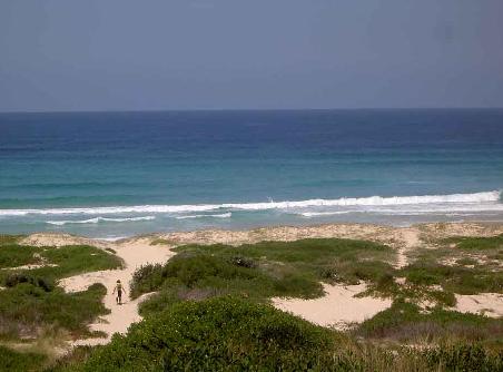 Auf dem Weg zum Strand