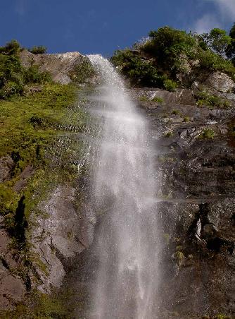 Einer der etlichen Wasserfaelle bei Milford Sound