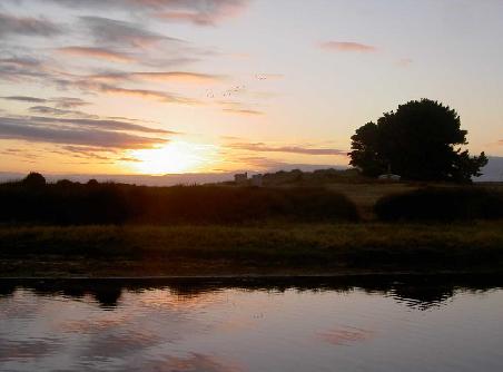 Abendstimmung in den Wetlands ganz im Sueden von NZ